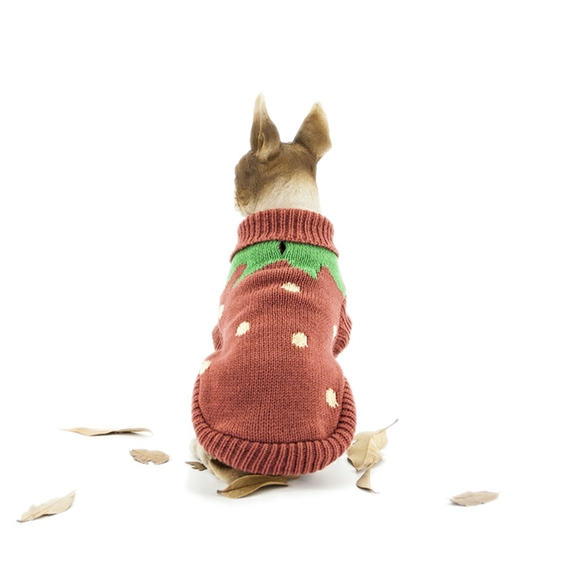 Strawberry Pet Sweater - Picture 7 of 8